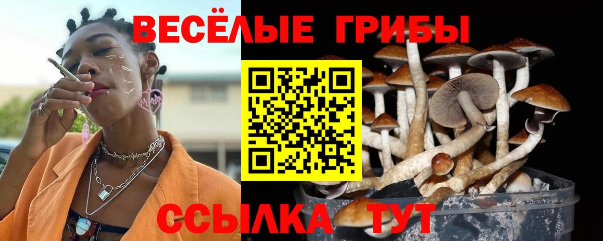 Псилоцибиновые грибы GOLDEN TEACHER Буйнакск
